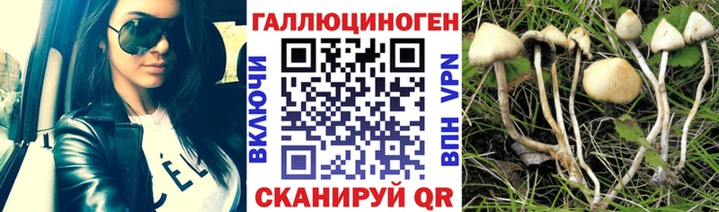 omg tor Нарьян-Мар Псилоцибиновые грибы GOLDEN TEACHER