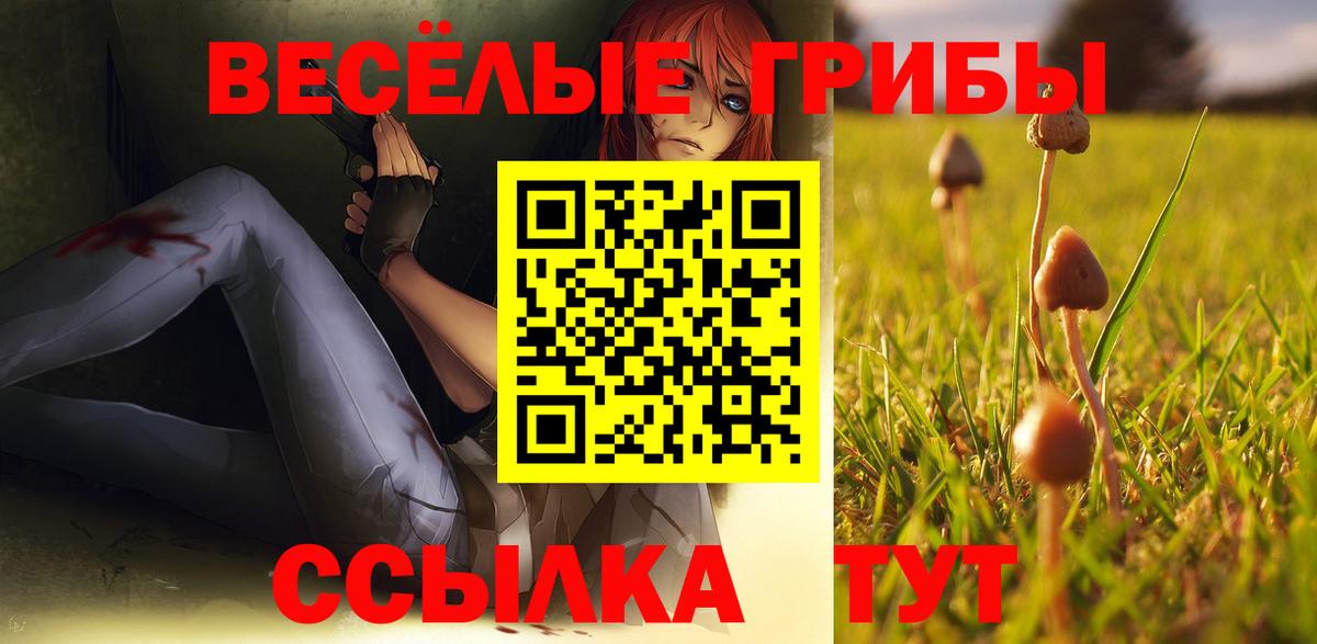 Нарьян-Мар  Галлюциногенные грибы Psilocybe  Вход с VPN  Псилоцибиновые грибы мухоморы 