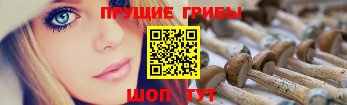 Псилоцибиновые грибы Psilocybine cubensis  Псилоцибиновые грибы ЛСД  Нарьян-Мар 